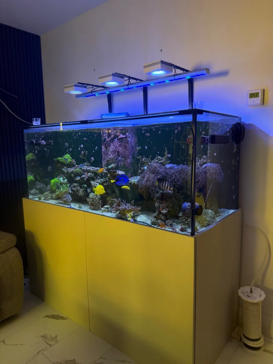 Marine Aquarium 600L - Image 1