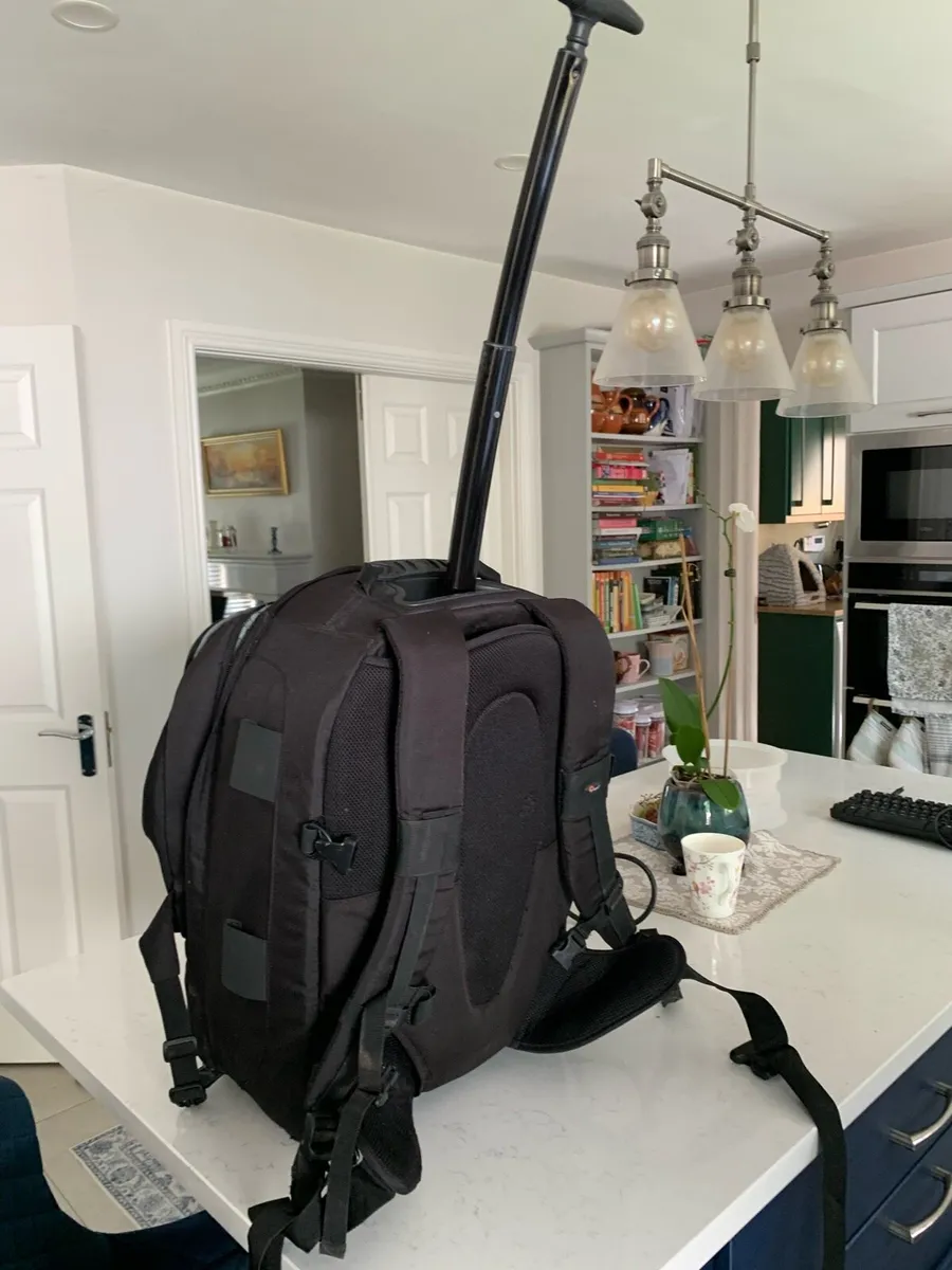 Lowepro Large Professional Camera Backpack – Cabin - Image 3