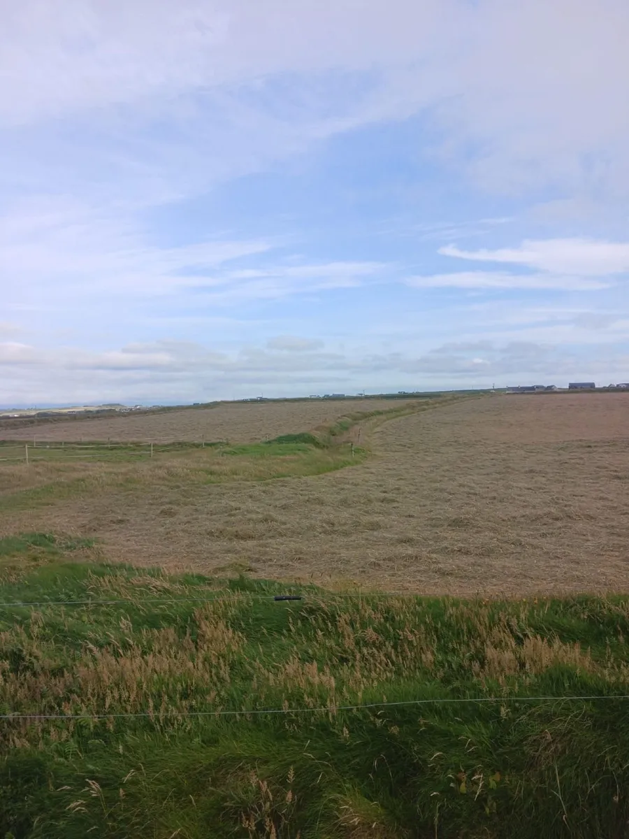 Top Quality Square Bales (Large Quantity) - €3.50 - Image 3