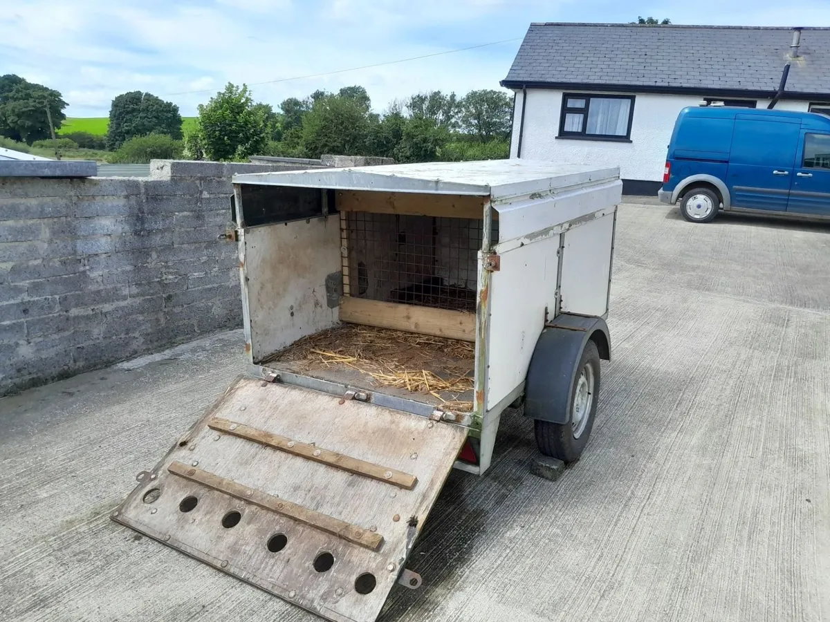 SHEEP/DOG TRAILER - Image 2