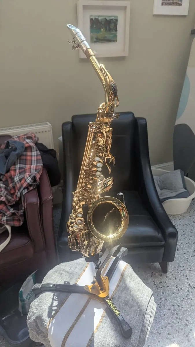 Alto Saxophone Selmer Mark VII - Image 4