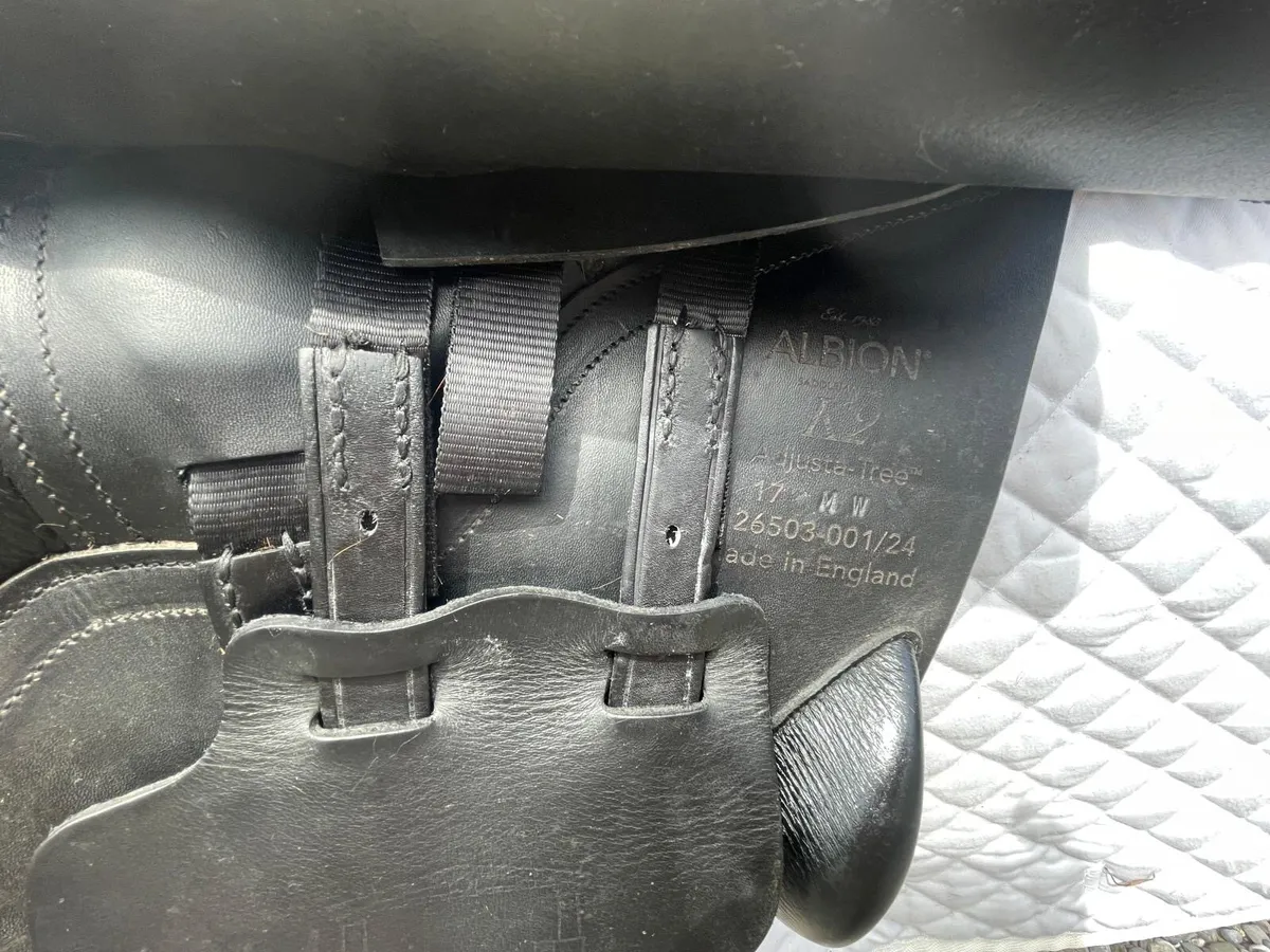 Albion K2 Saddle - Image 4