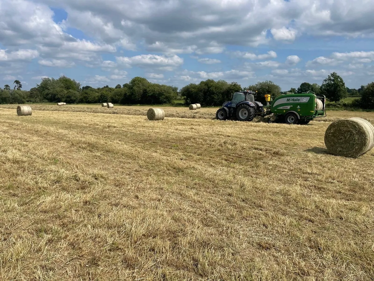 Round Bales of Hay/Delivery Nationwide - Image 3