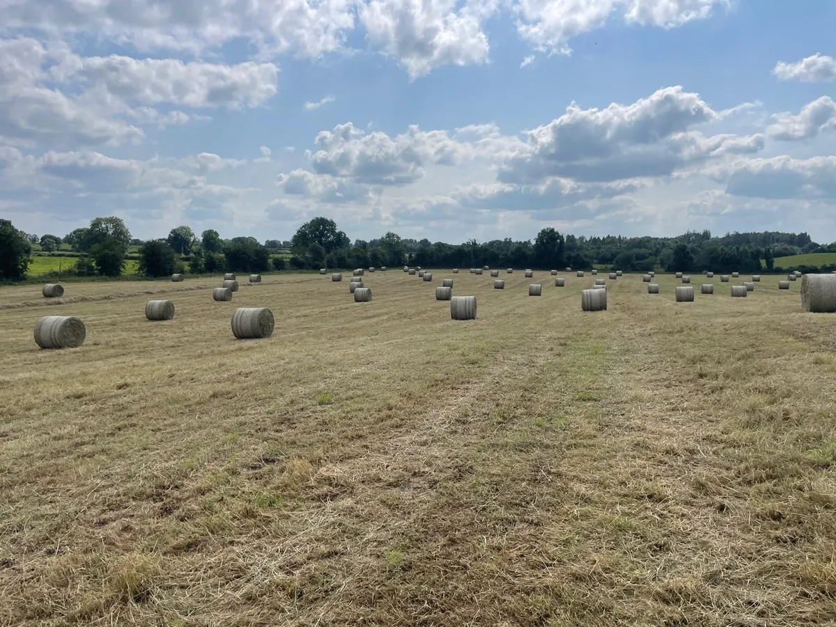 Round Bales of Hay/Delivery Nationwide - Image 1