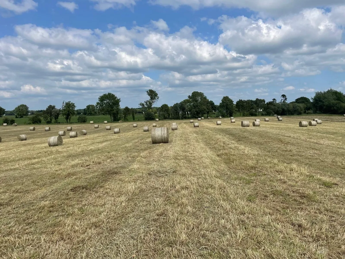 Round Bales of Hay/Delivery Nationwide - Image 2
