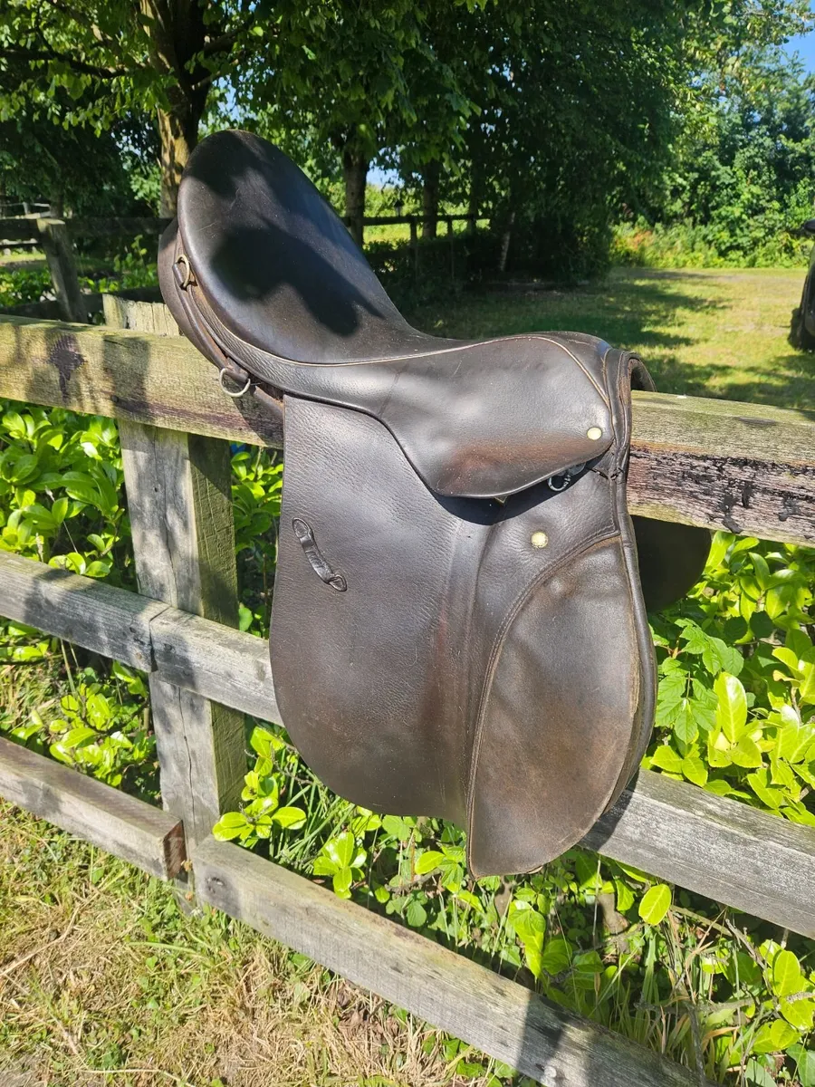 Stubben saddle - Image 1