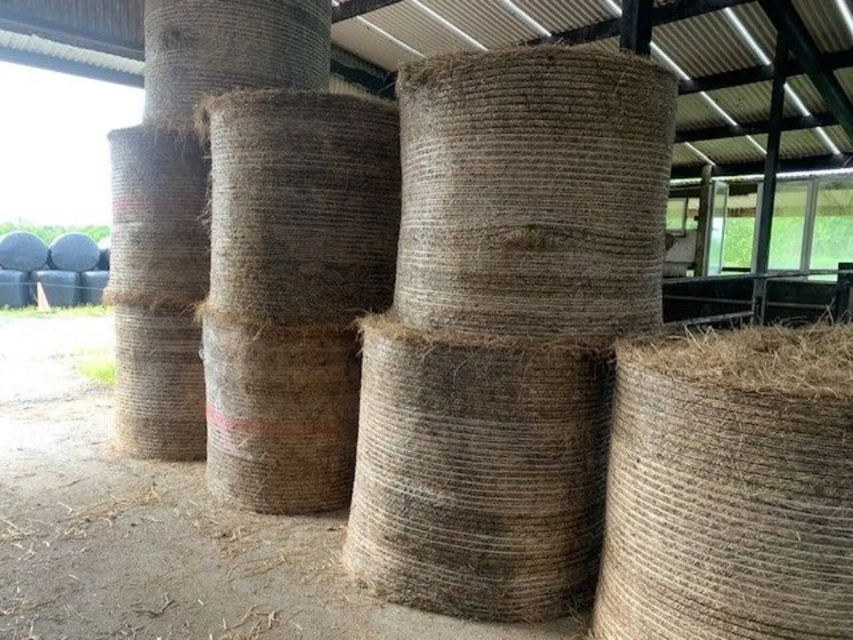Silage / Hay - Image 2