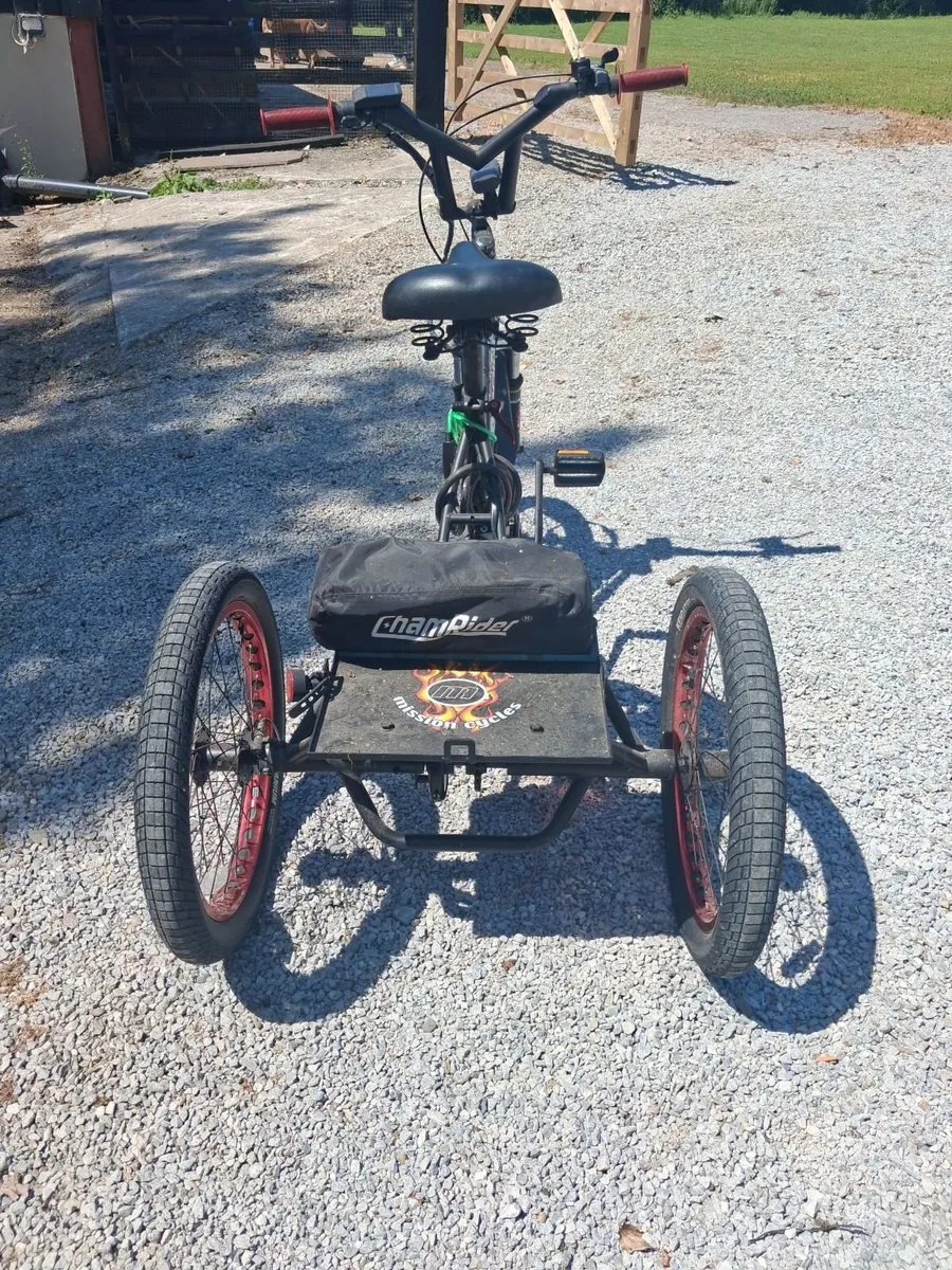 Electric trike - Image 4