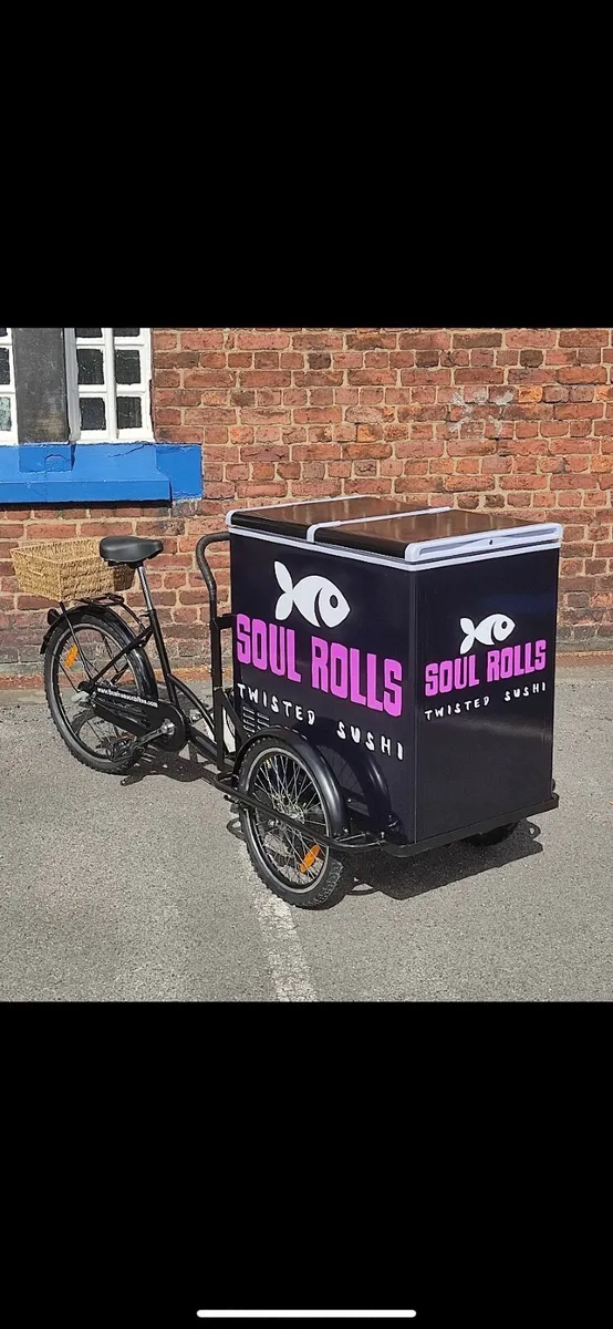 Ice cream cooler bike - Image 2