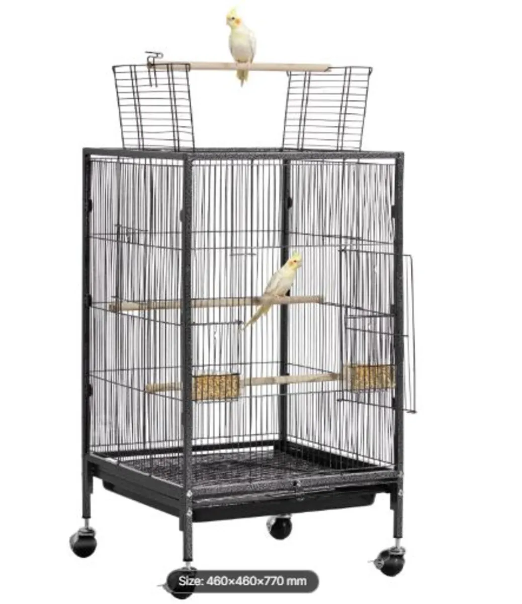 Bird Cage,460 x 460 x 770 mm,Open Flat Top,Wrought - Image 1