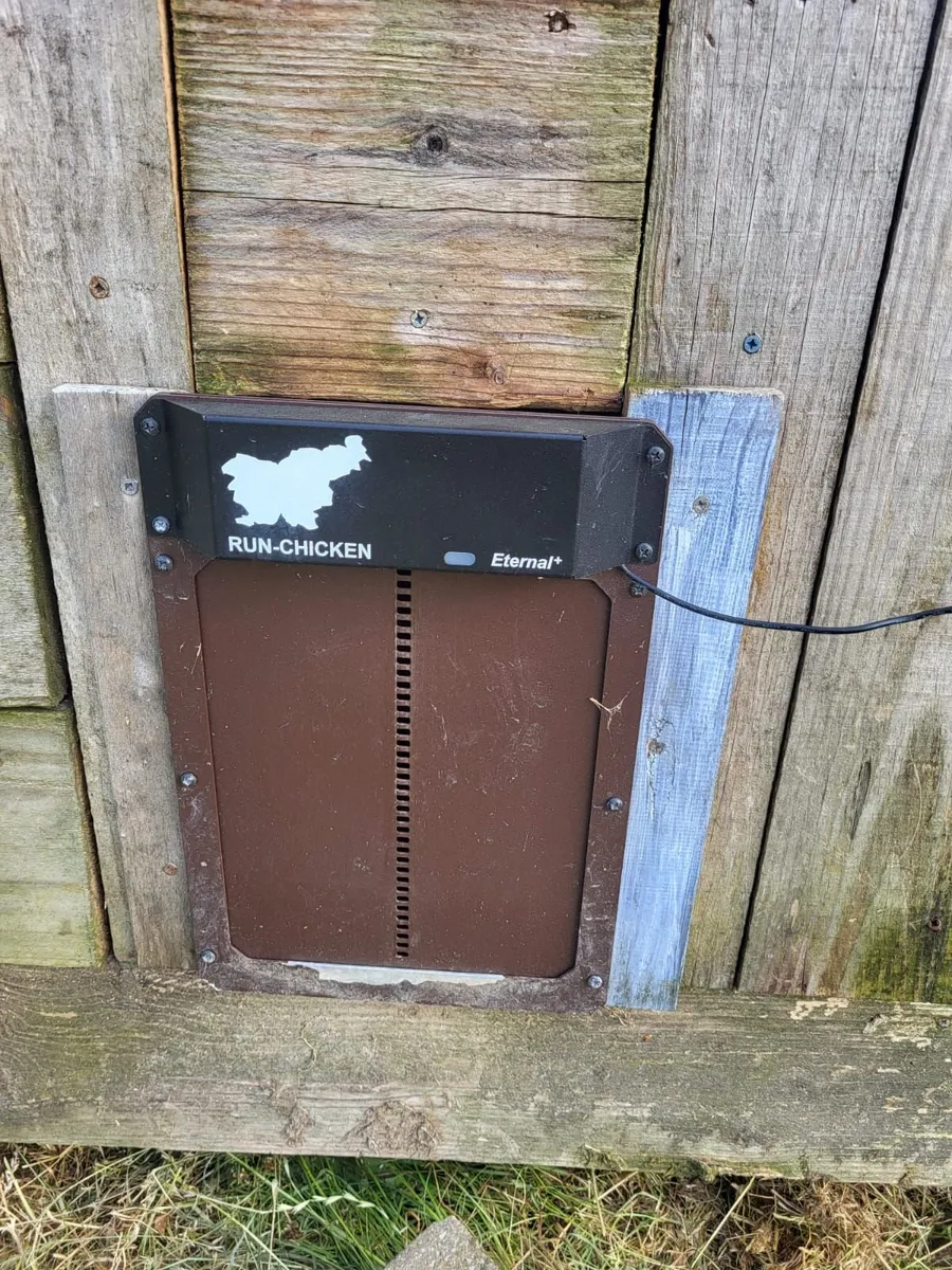 Automatic chicken door + off grid system - Image 4