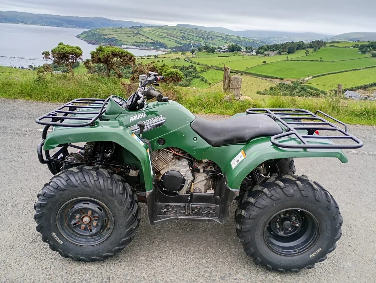 Yamaha Grizzly 350 - Image 3