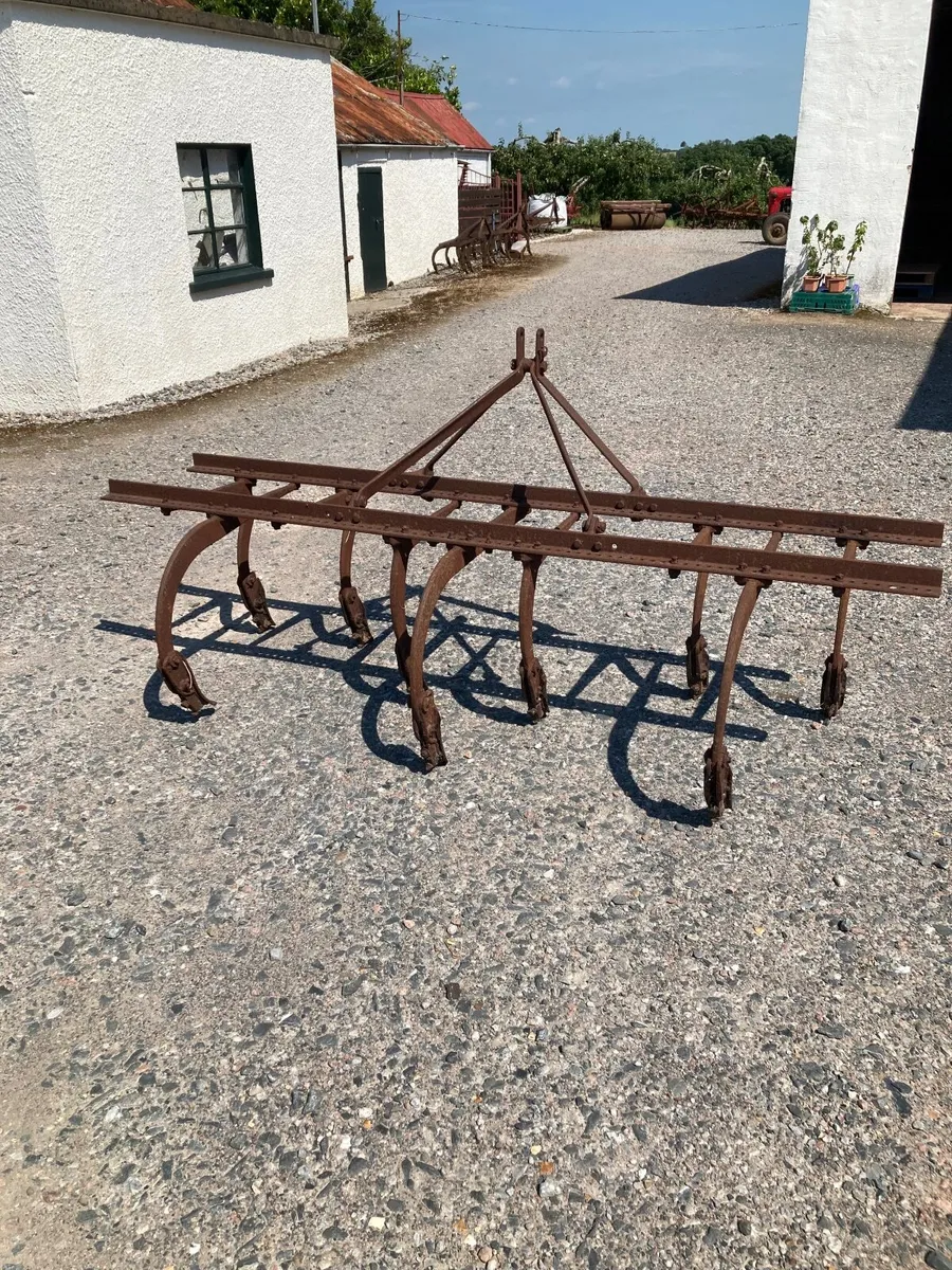 Ferguson Grubber - Image 4