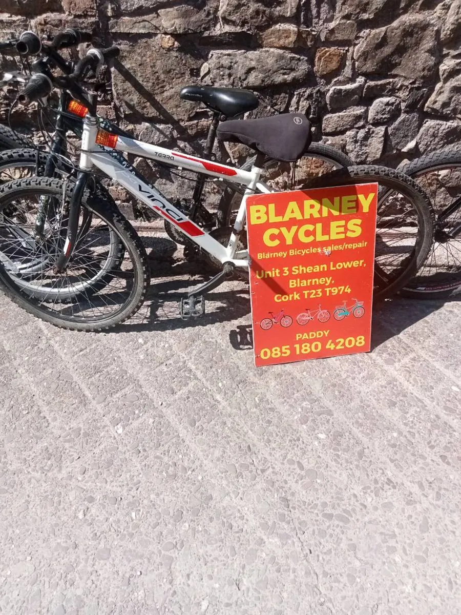 Bikes - Image 4
