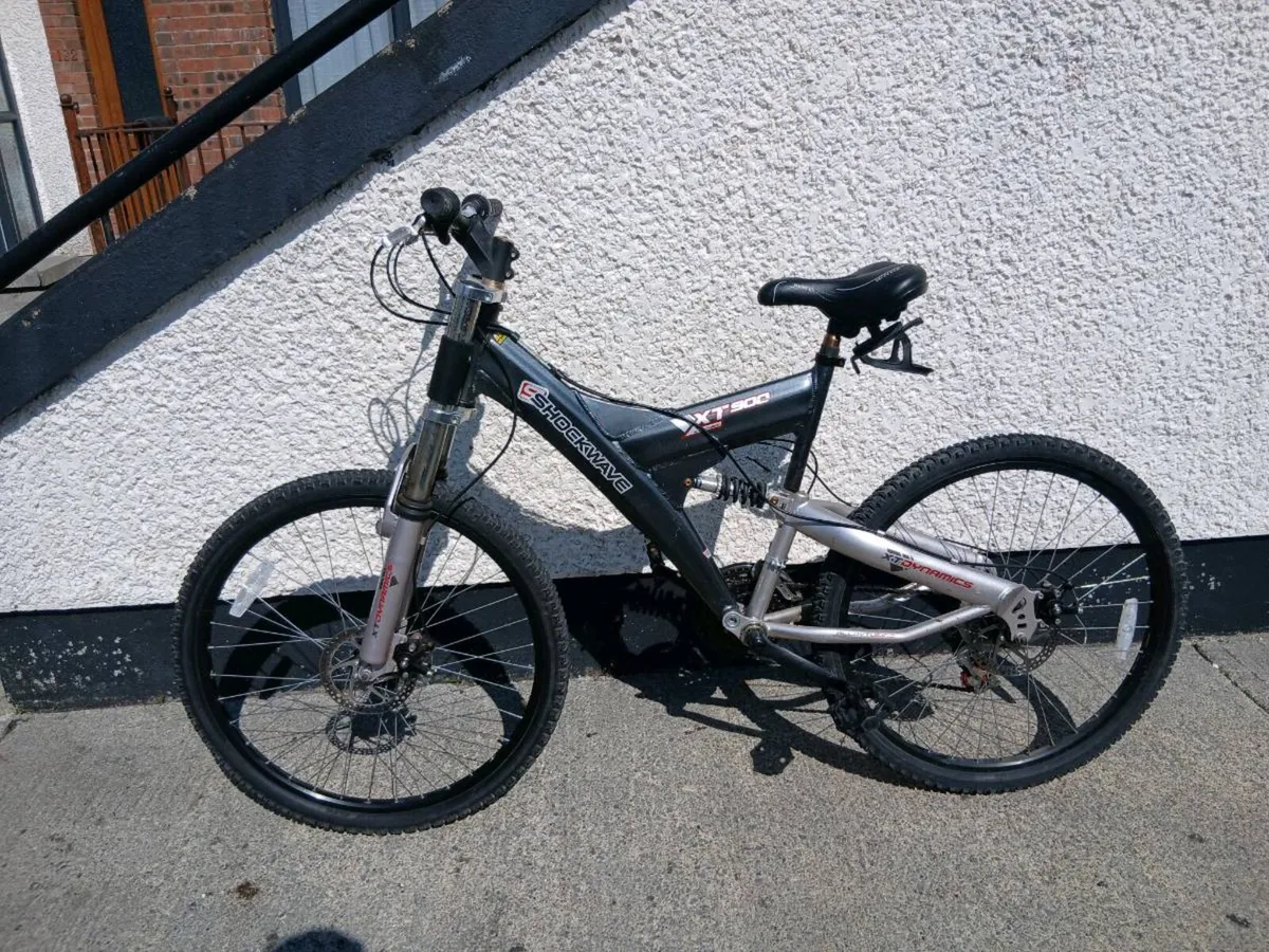 ADULTS BIKE - Image 1