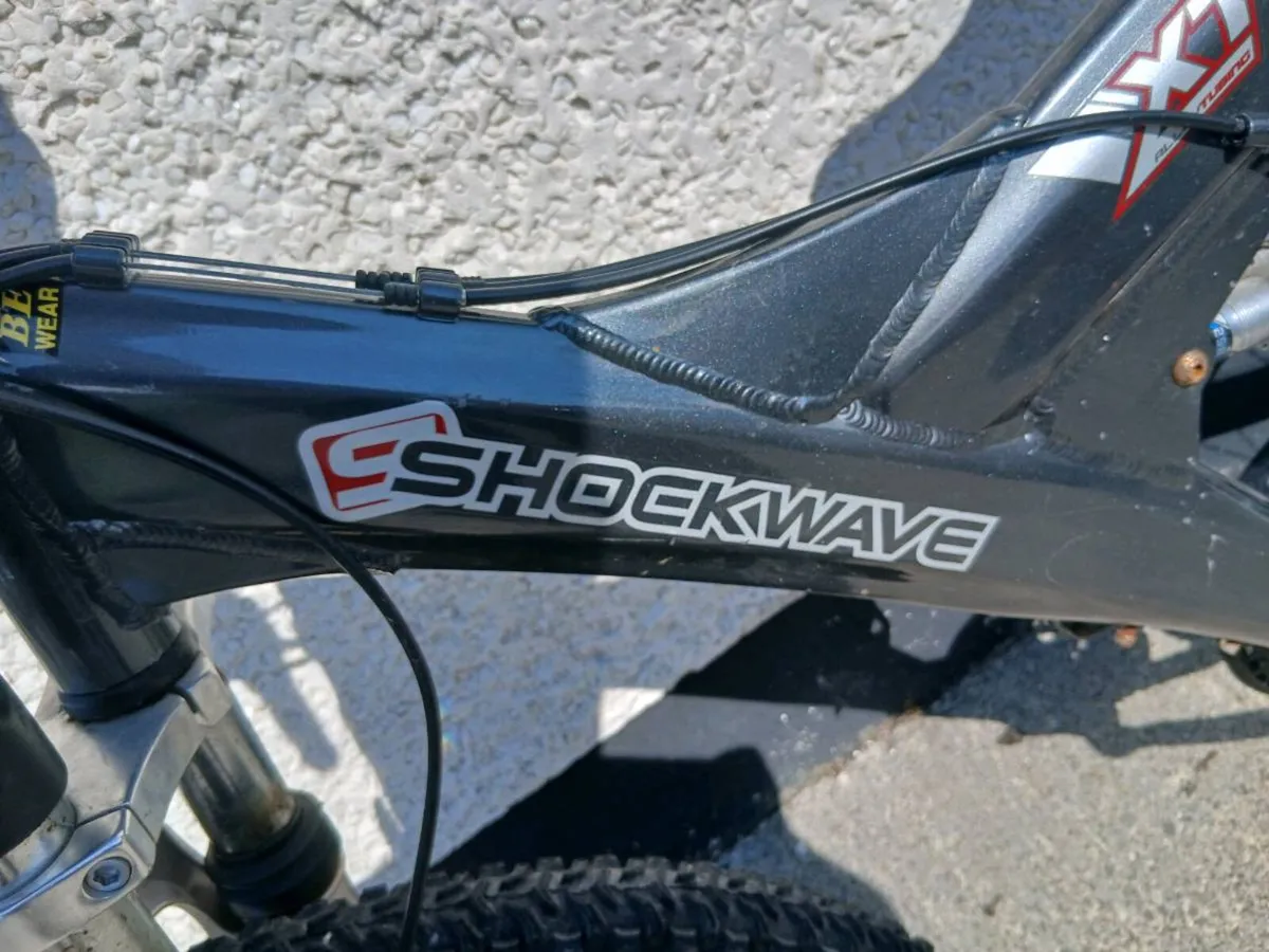 ADULTS BIKE - Image 2