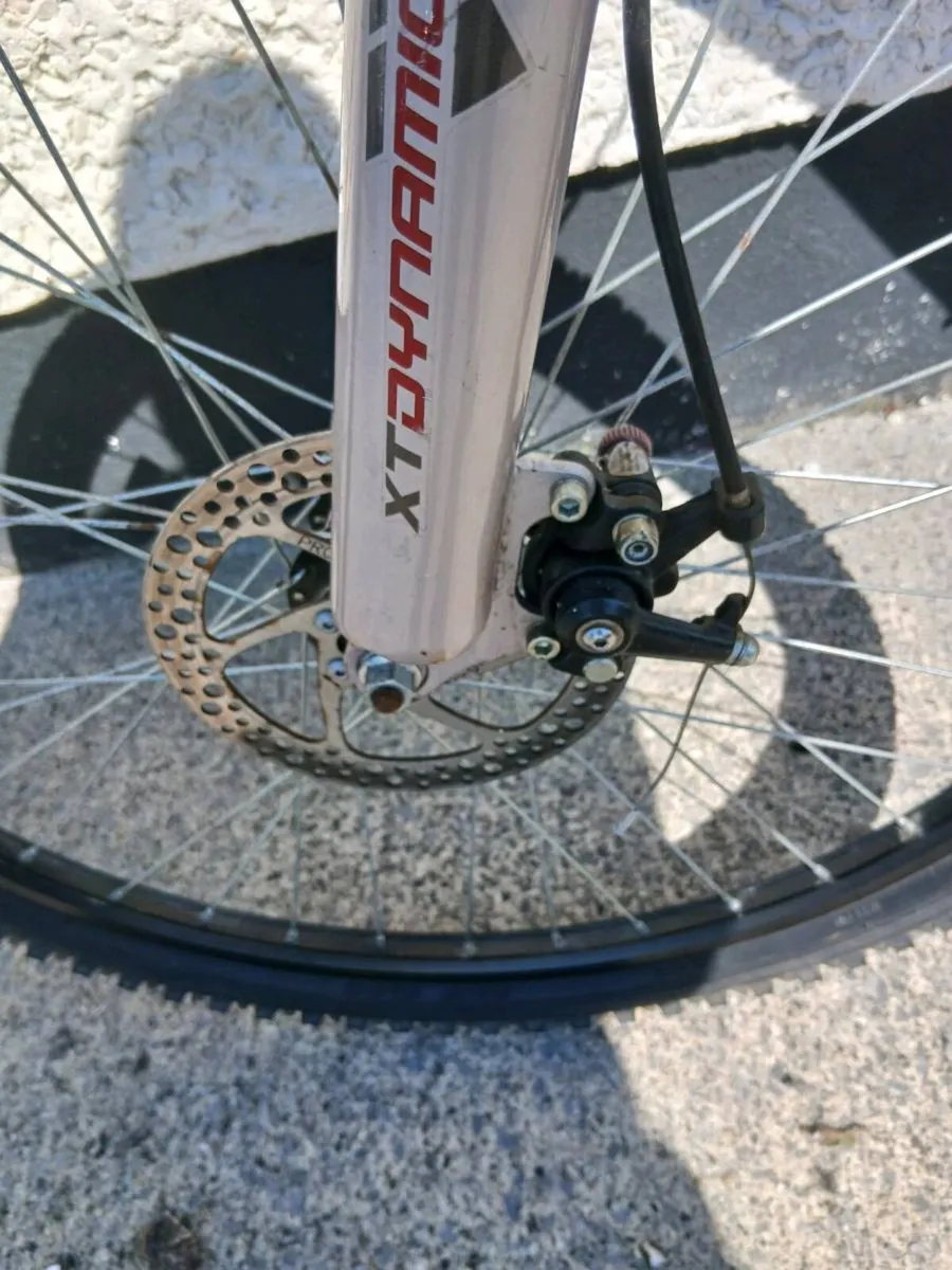 ADULTS BIKE - Image 3