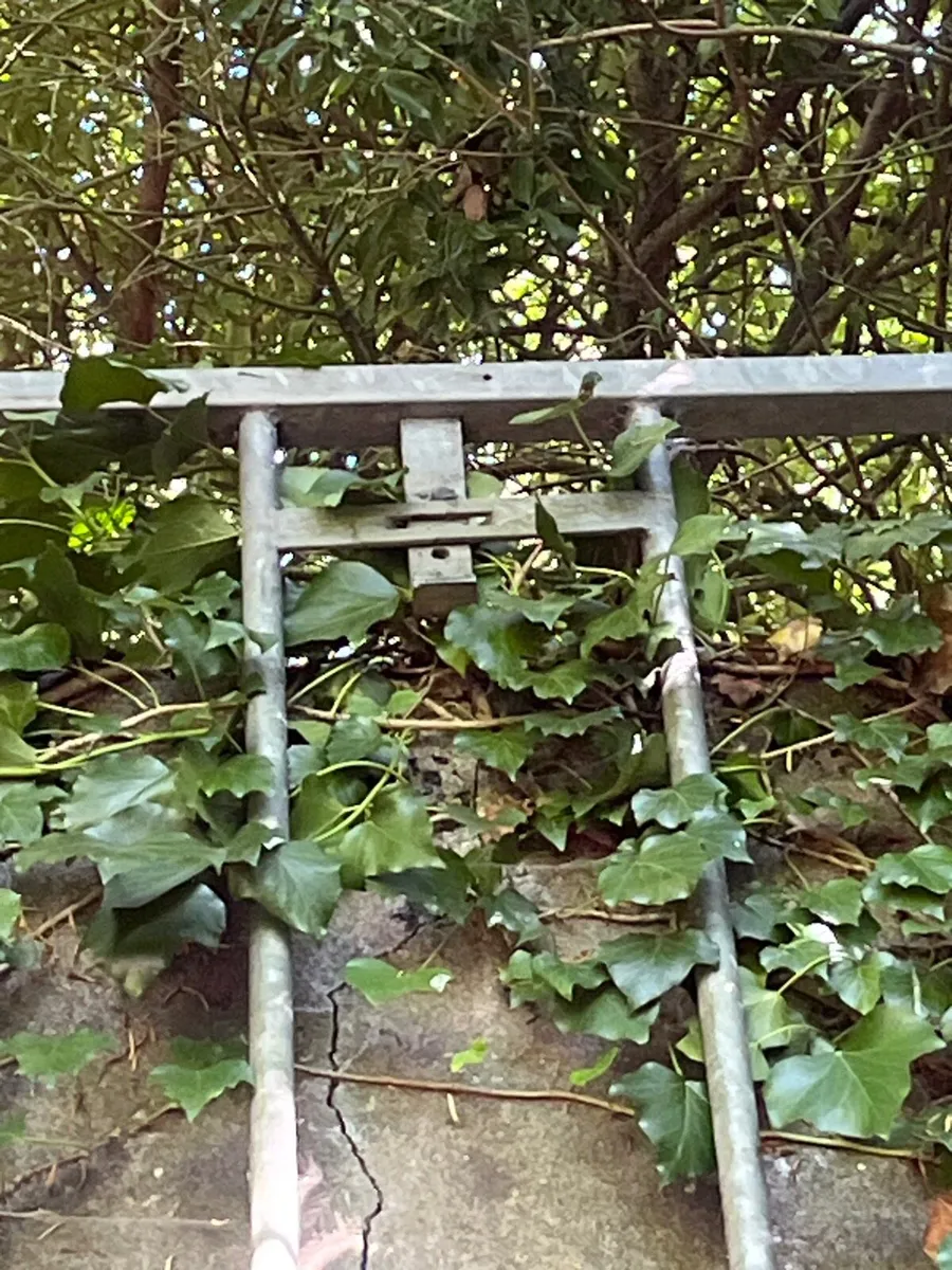 A 12 foot light galvanised farm gate - Image 4