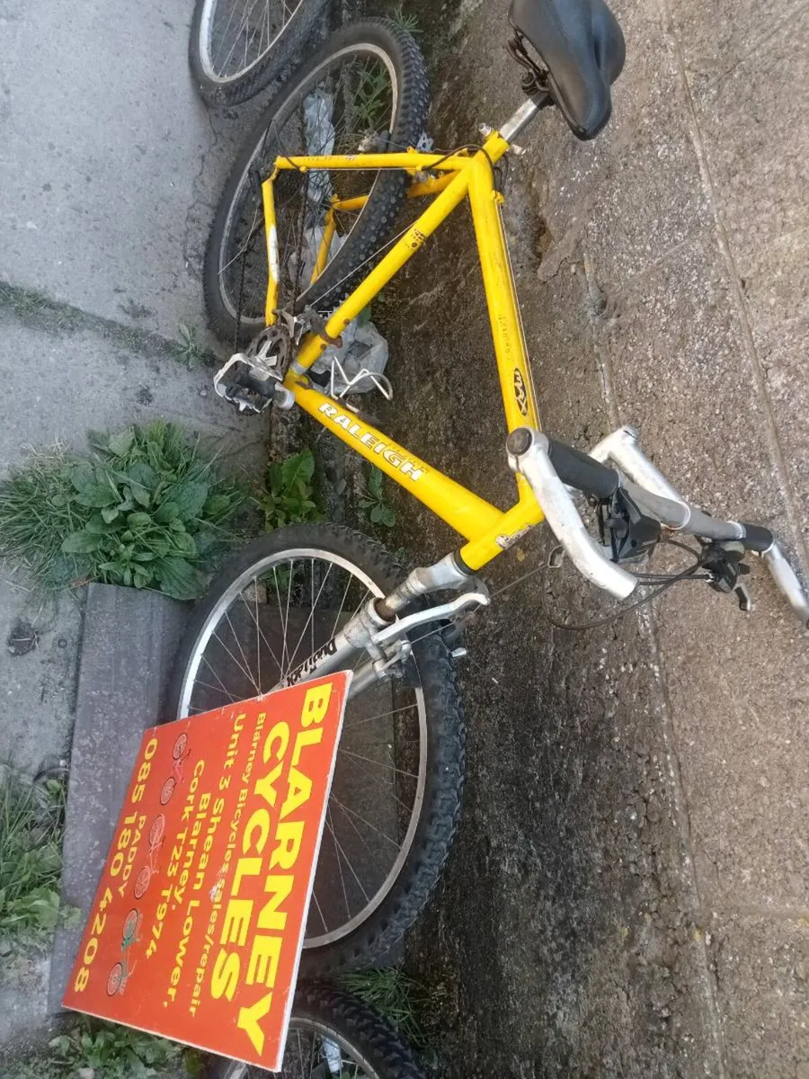 Bikes - Image 3
