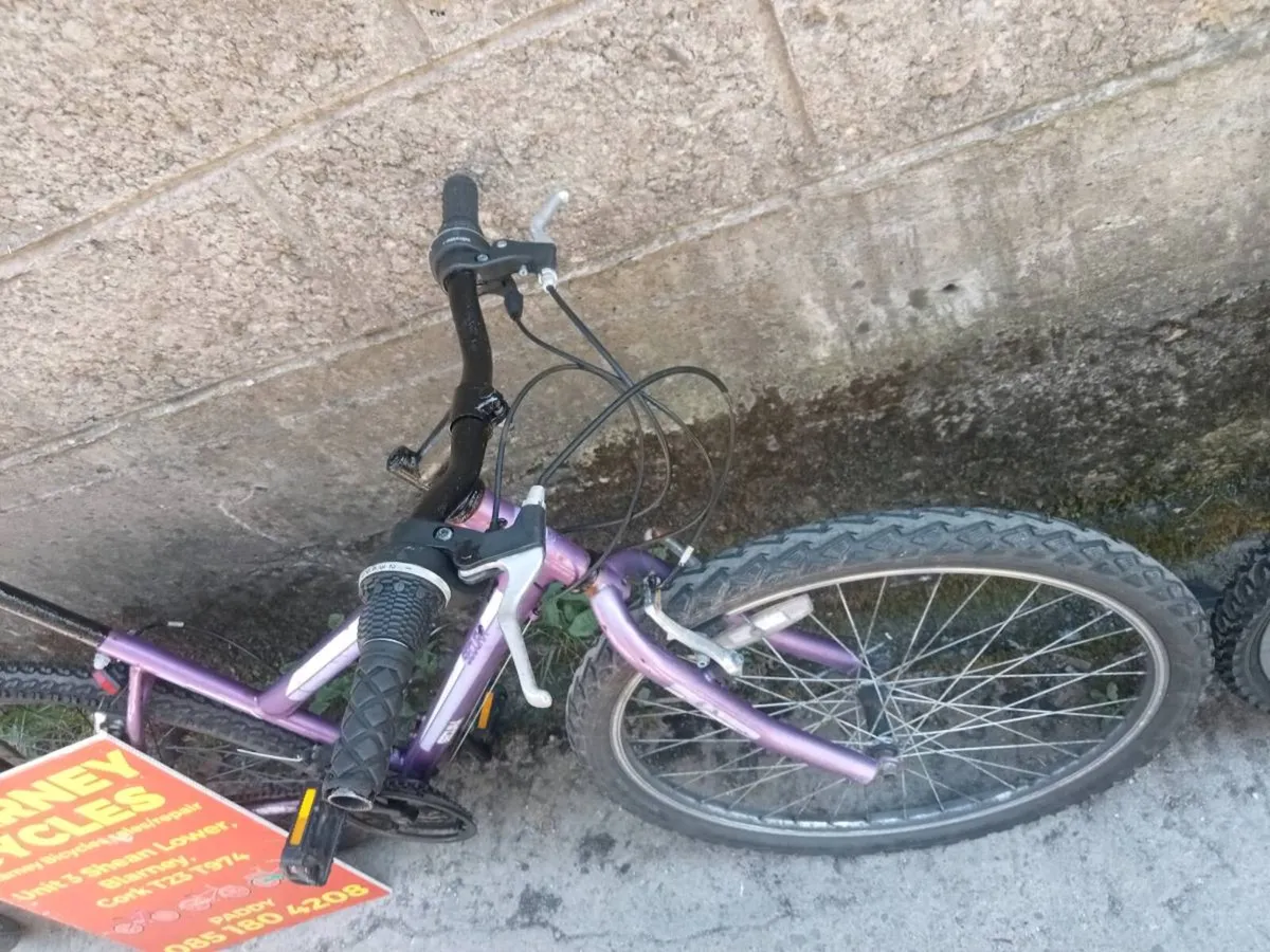 Bikes - Image 4