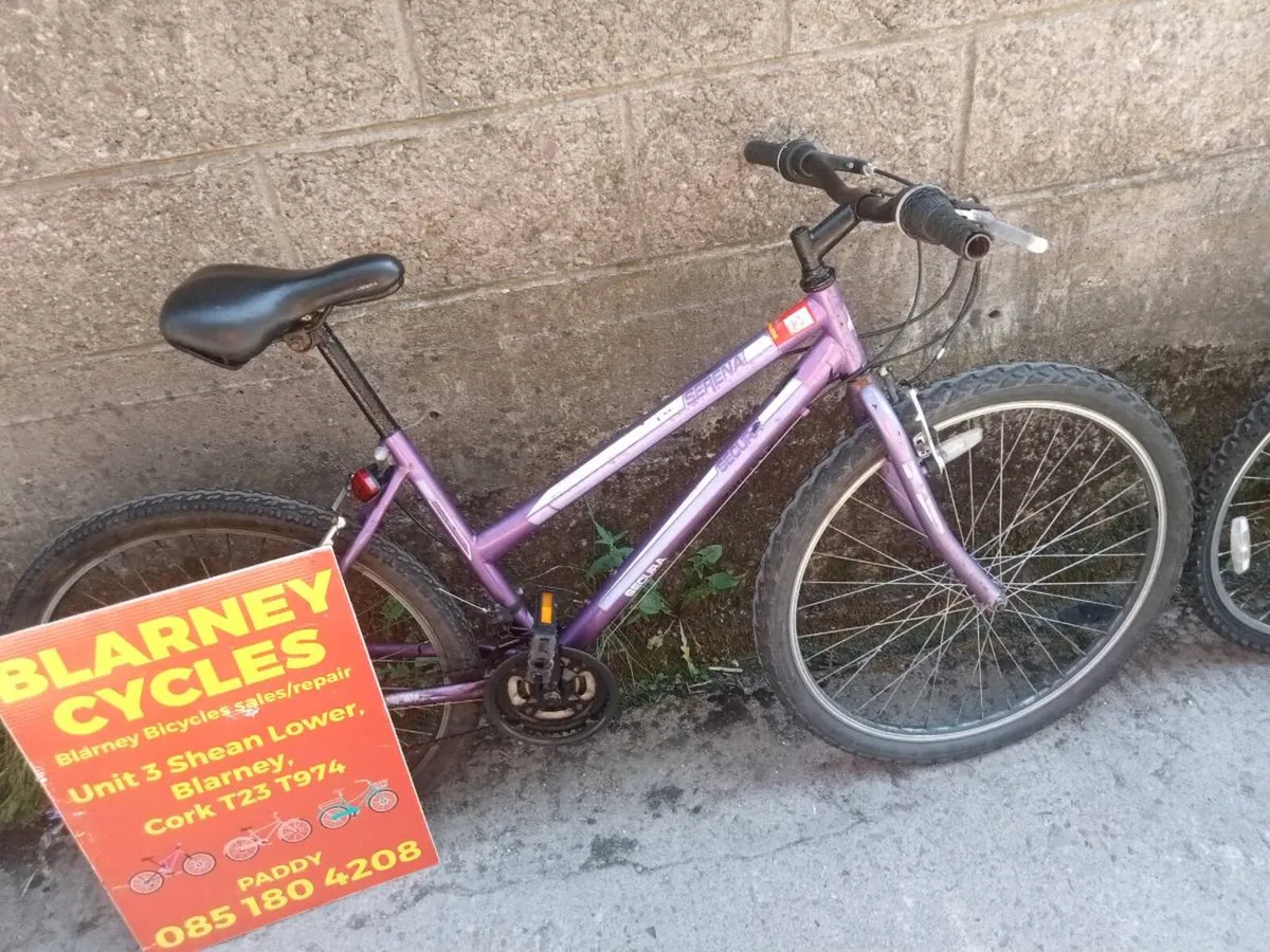 Bikes - Image 3