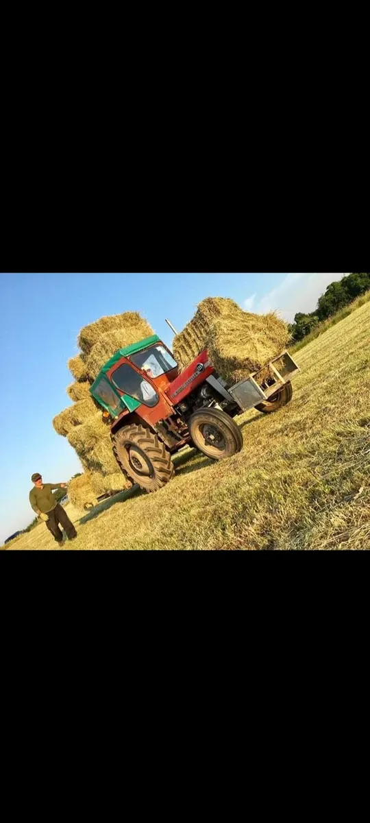 Square bales Hay