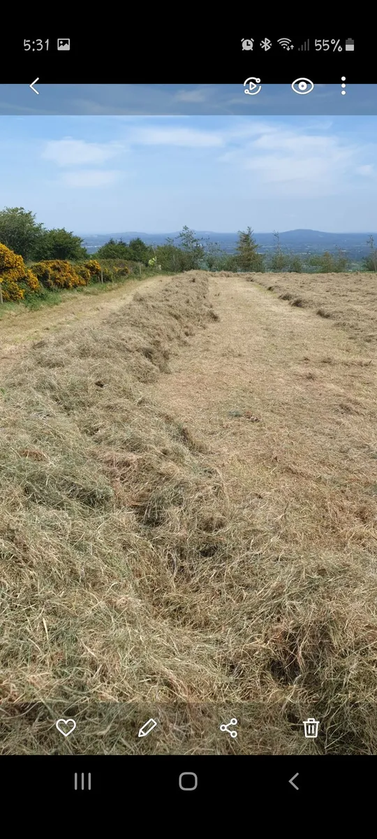 Round bales of hay - Image 1