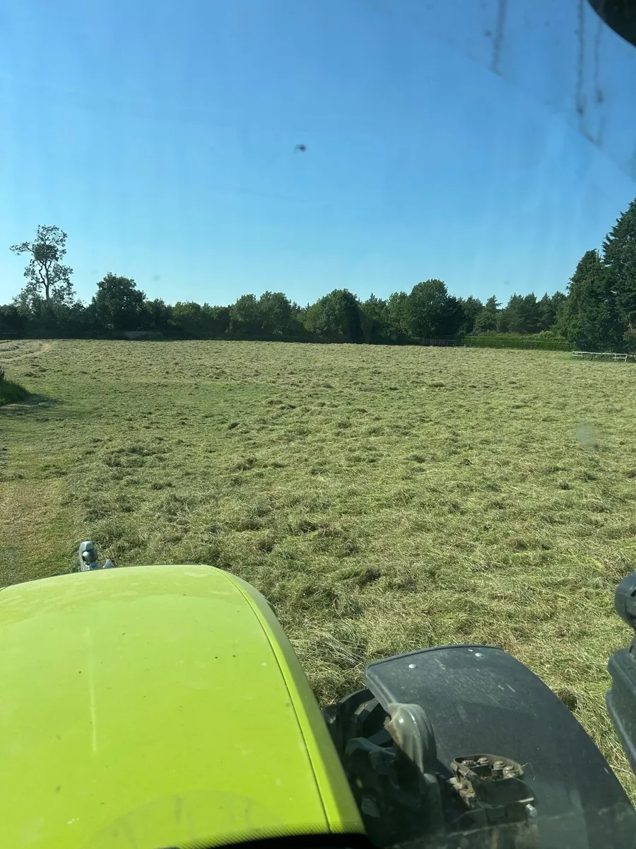 Big square bales hay - Image 2