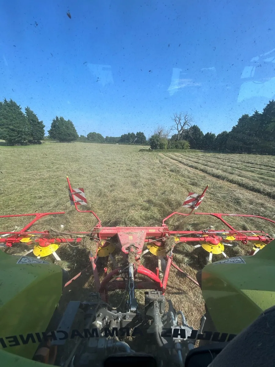 Big square bales hay - Image 1