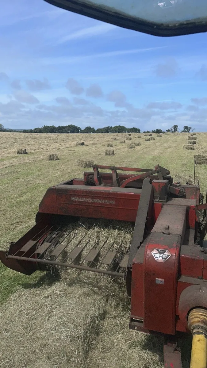 Small square bales of hay - Image 3
