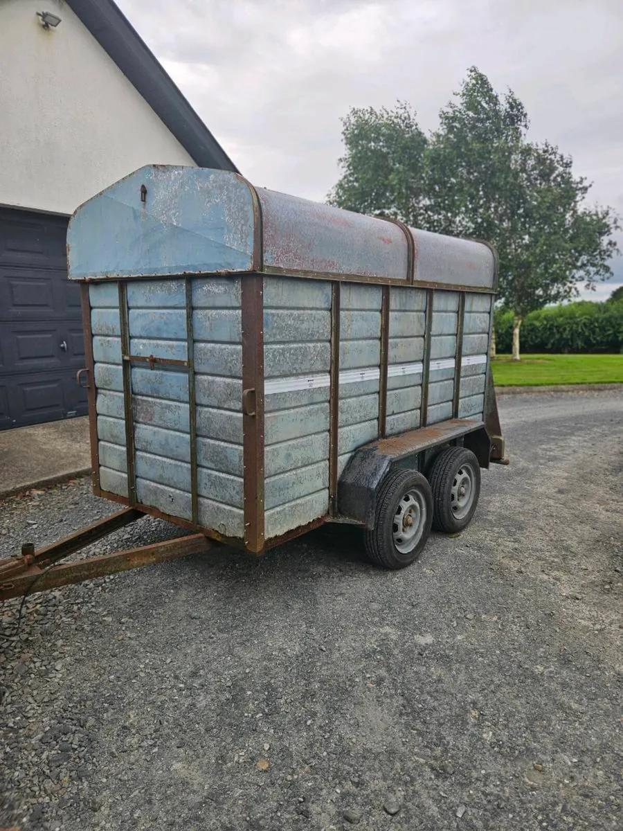 Cow box - Image 1