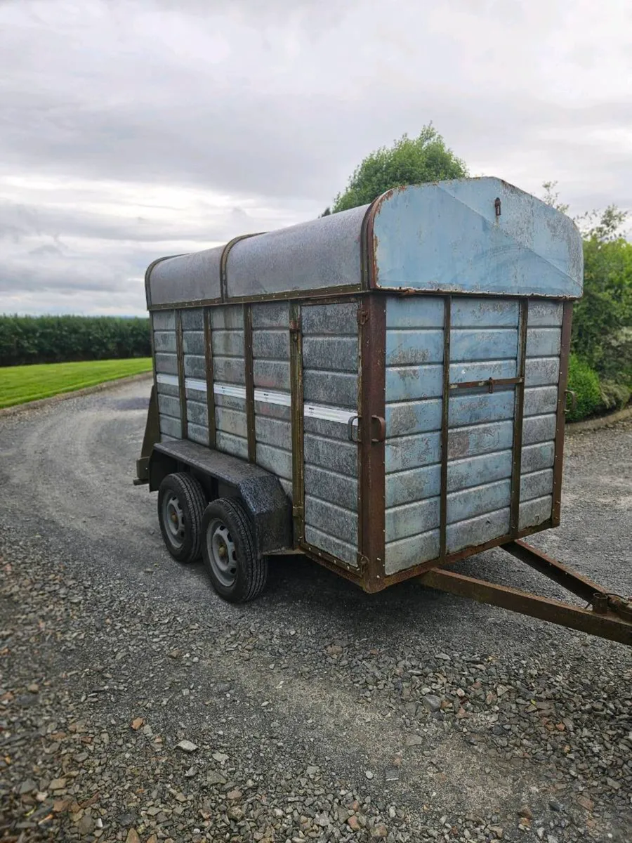Cow box - Image 2