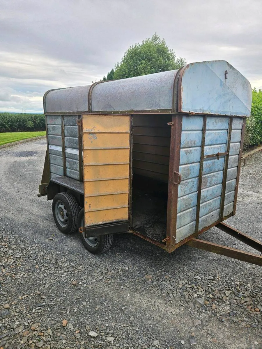 Cow box - Image 3