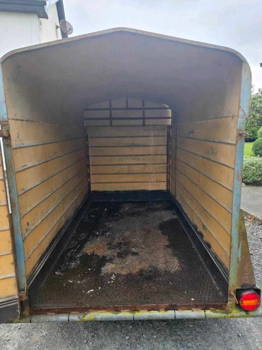 Cow box - Image 4
