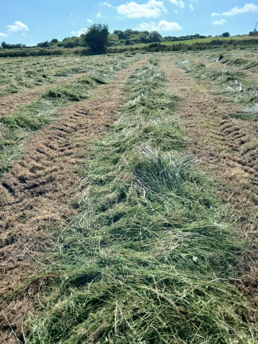 Silage Bales - Image 1