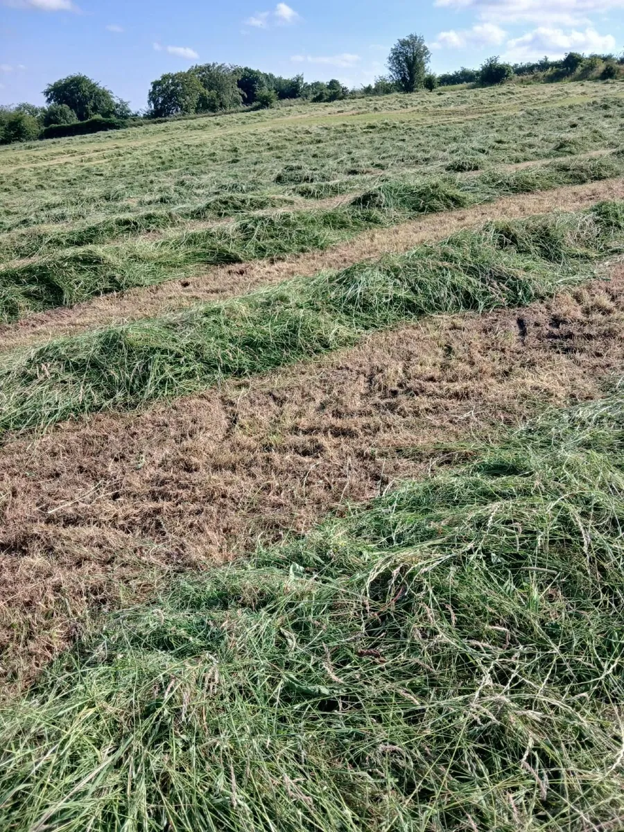 Silage Bales - Image 2