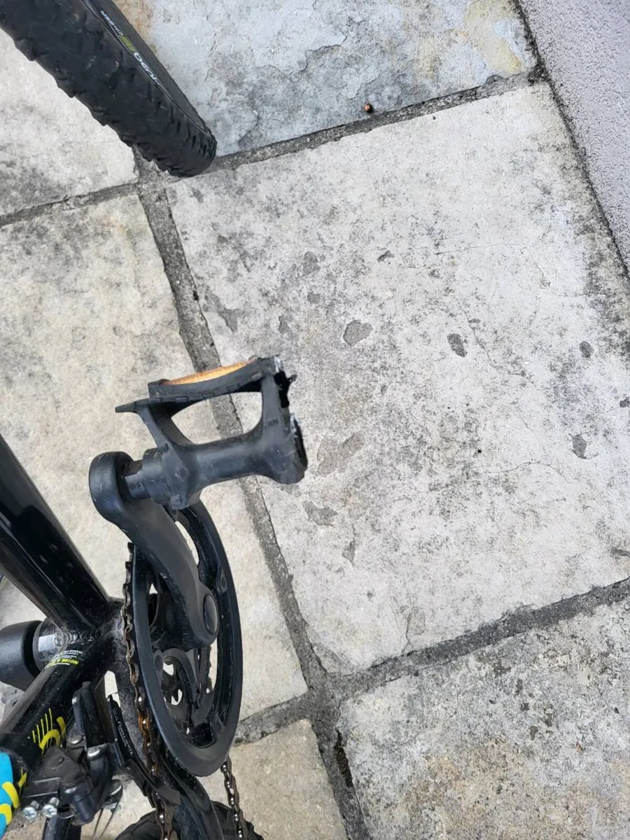 Bicicle - Image 4
