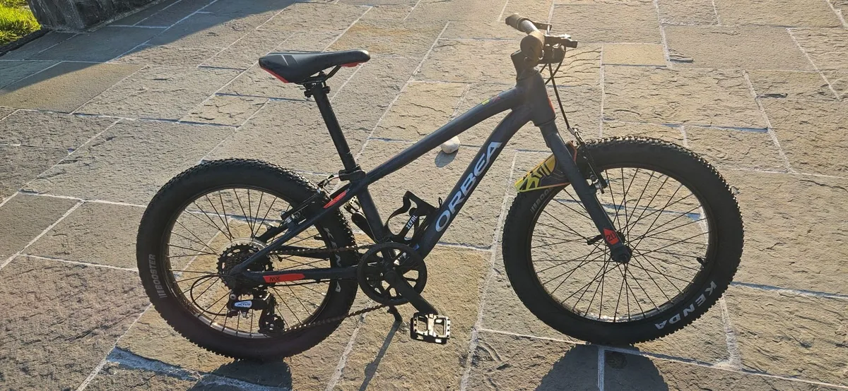 Bicycle - Image 1