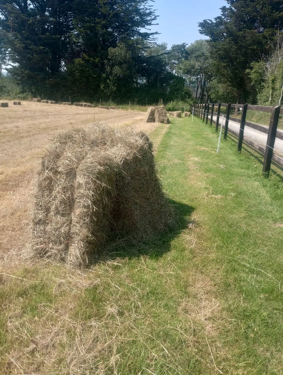 Small organic hay bales - Image 1
