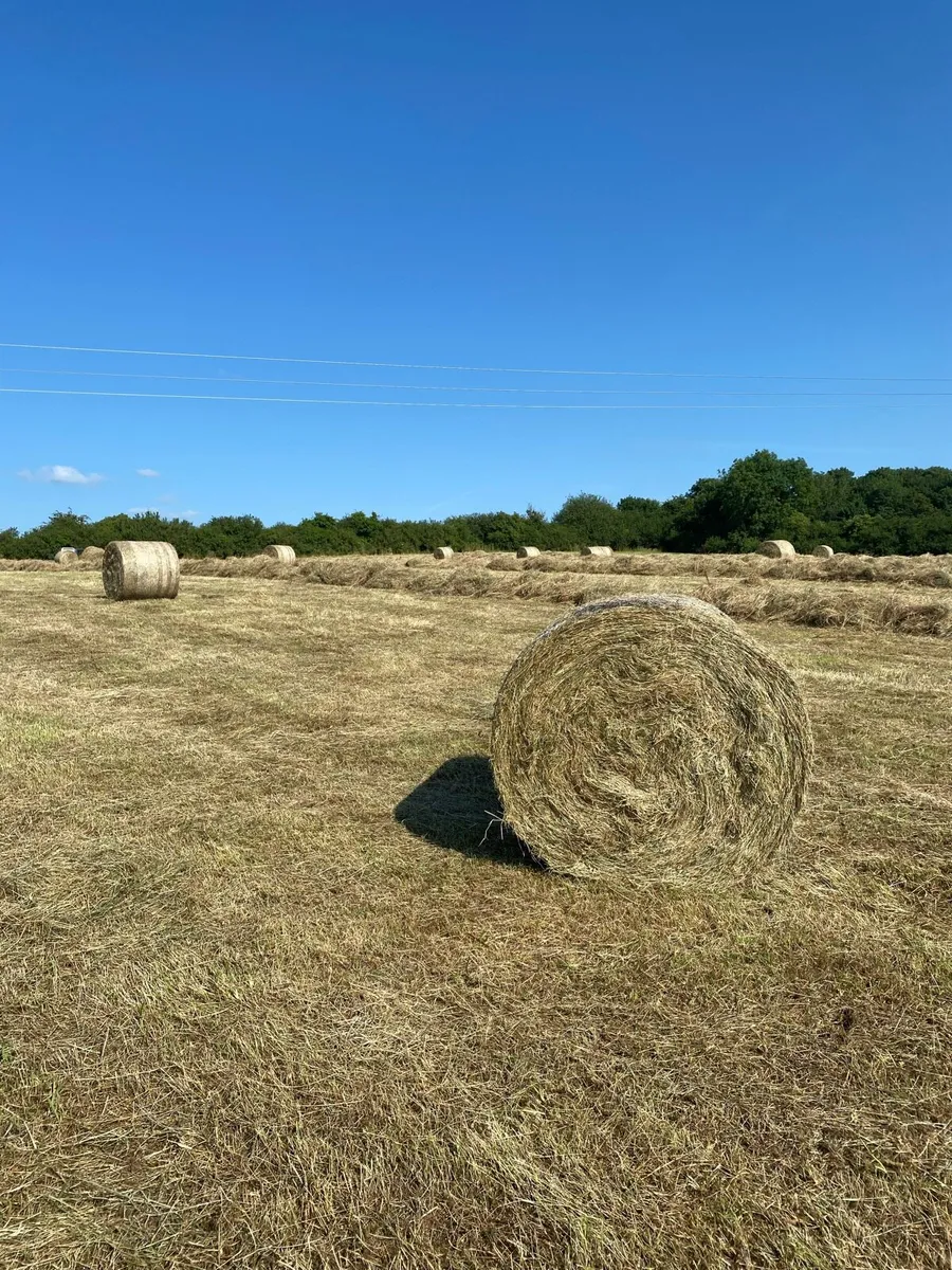 Hay Round Bales - Image 2