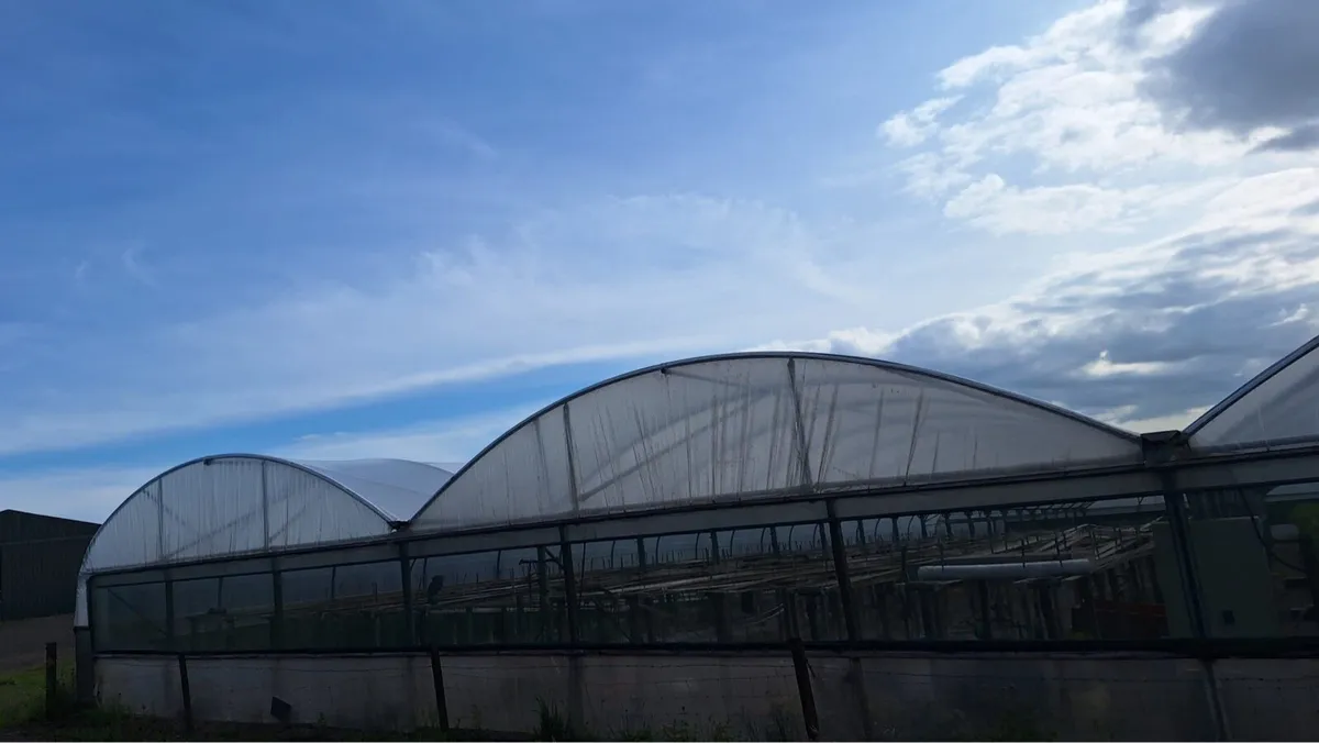 Polytunnel - Image 2