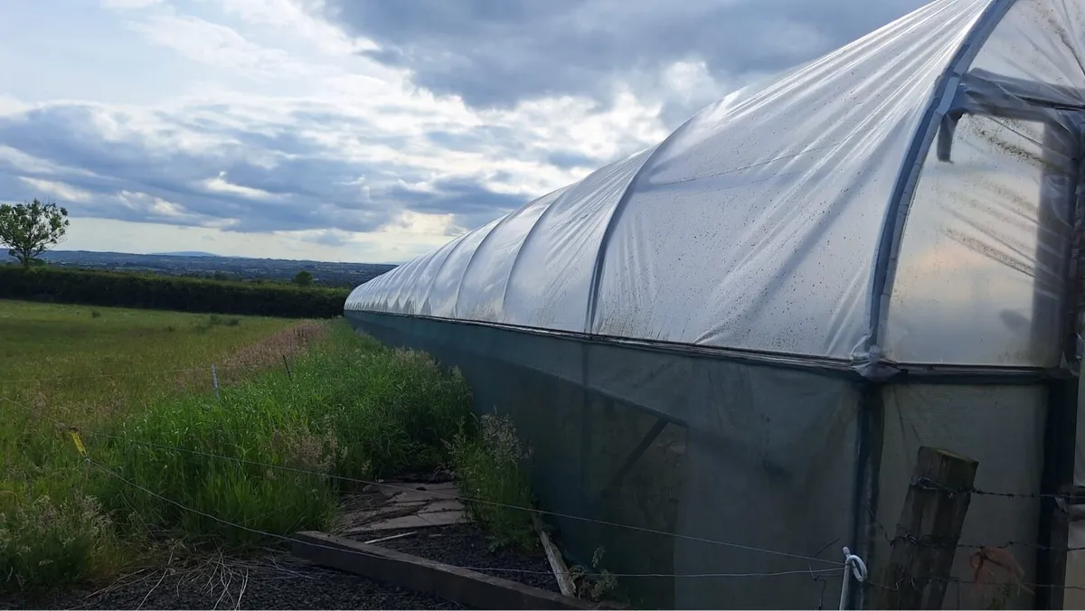 Polytunnel - Image 1