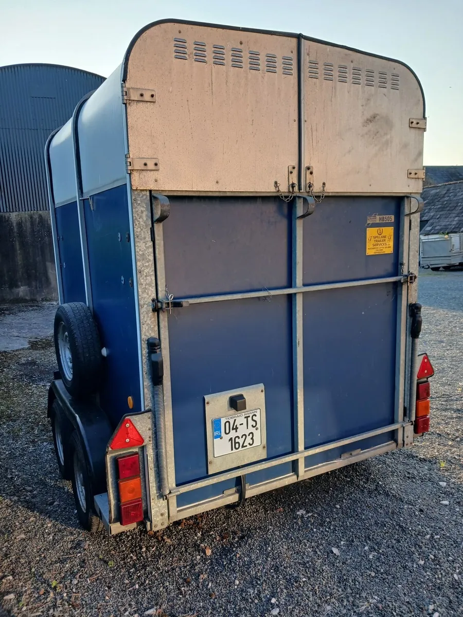Horse box - Image 4