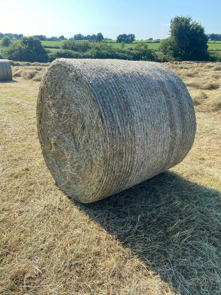 Hay Round Bales - Image 1