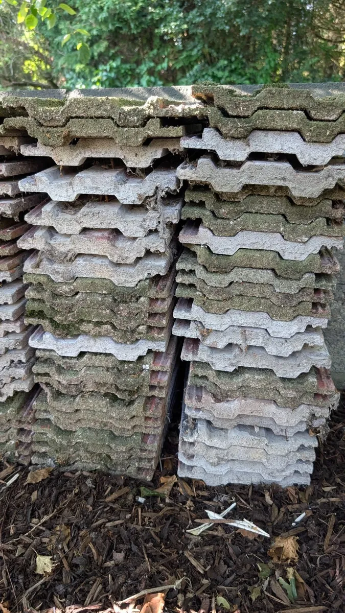 Reclaimed Roof Tiles 15x9 - Image 3