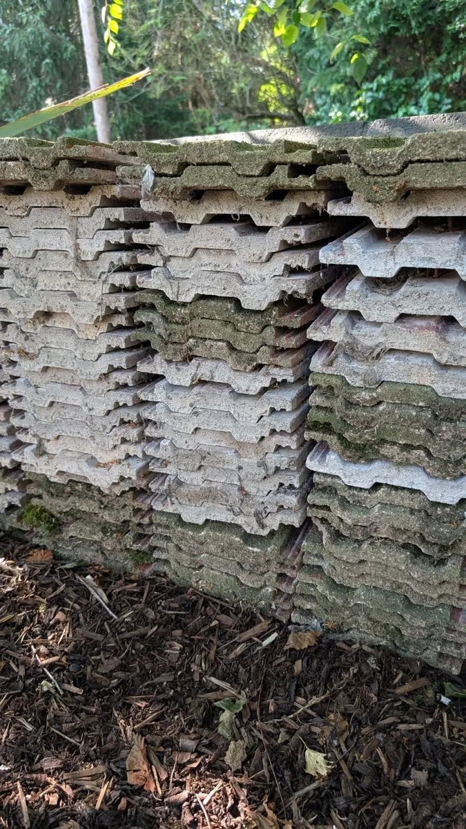 Reclaimed Roof Tiles 15x9 - Image 4