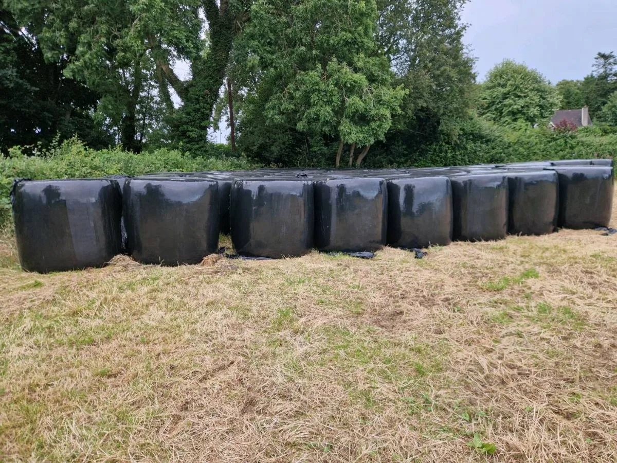Haylage Bales