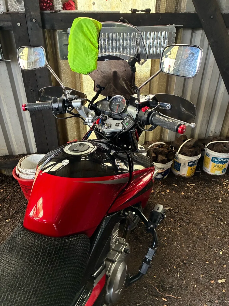 Suzuki inazuma - Image 3