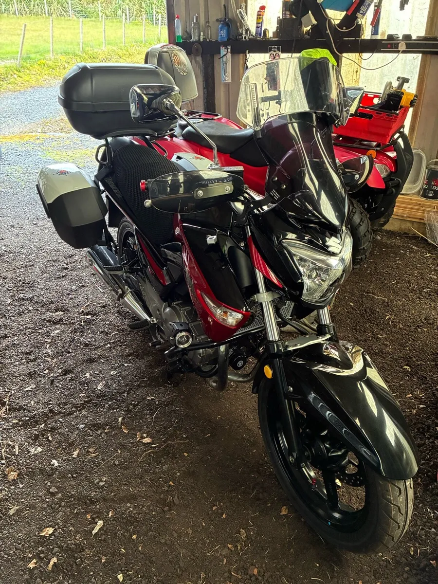 Suzuki inazuma - Image 4