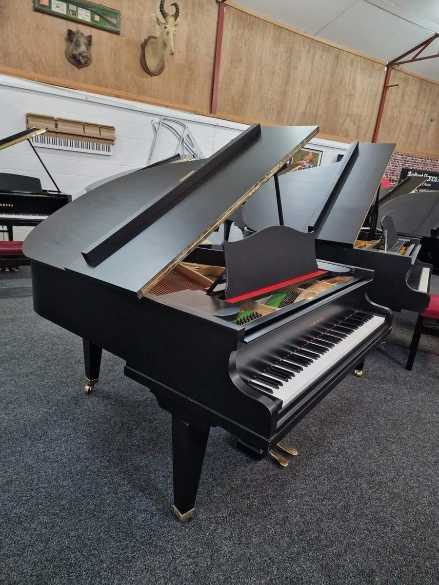 C.Bechstein Grand Piano | Model K Berlin | Black - Image 3